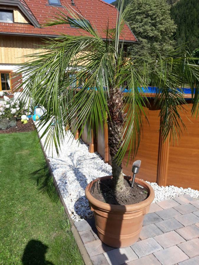 Ferienwohnung Haus Steinthaler Stockenboi Exterior foto
